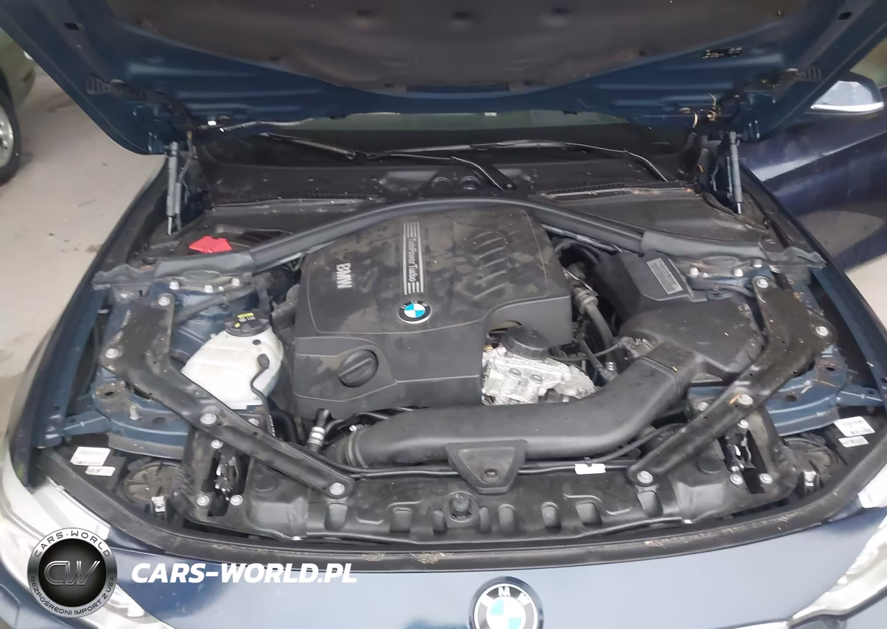 2016 BMW 435I VIN:WBA3T3C50G5A41920 - 10