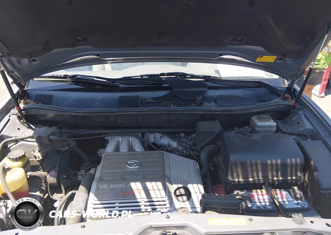 2002 Lexus Rx 300 VIN:JTJGF10U420144253 - 10