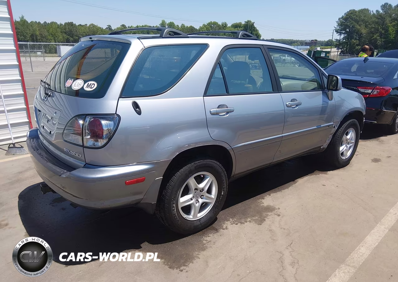2002 Lexus Rx 300 VIN:JTJGF10U420144253 - 4