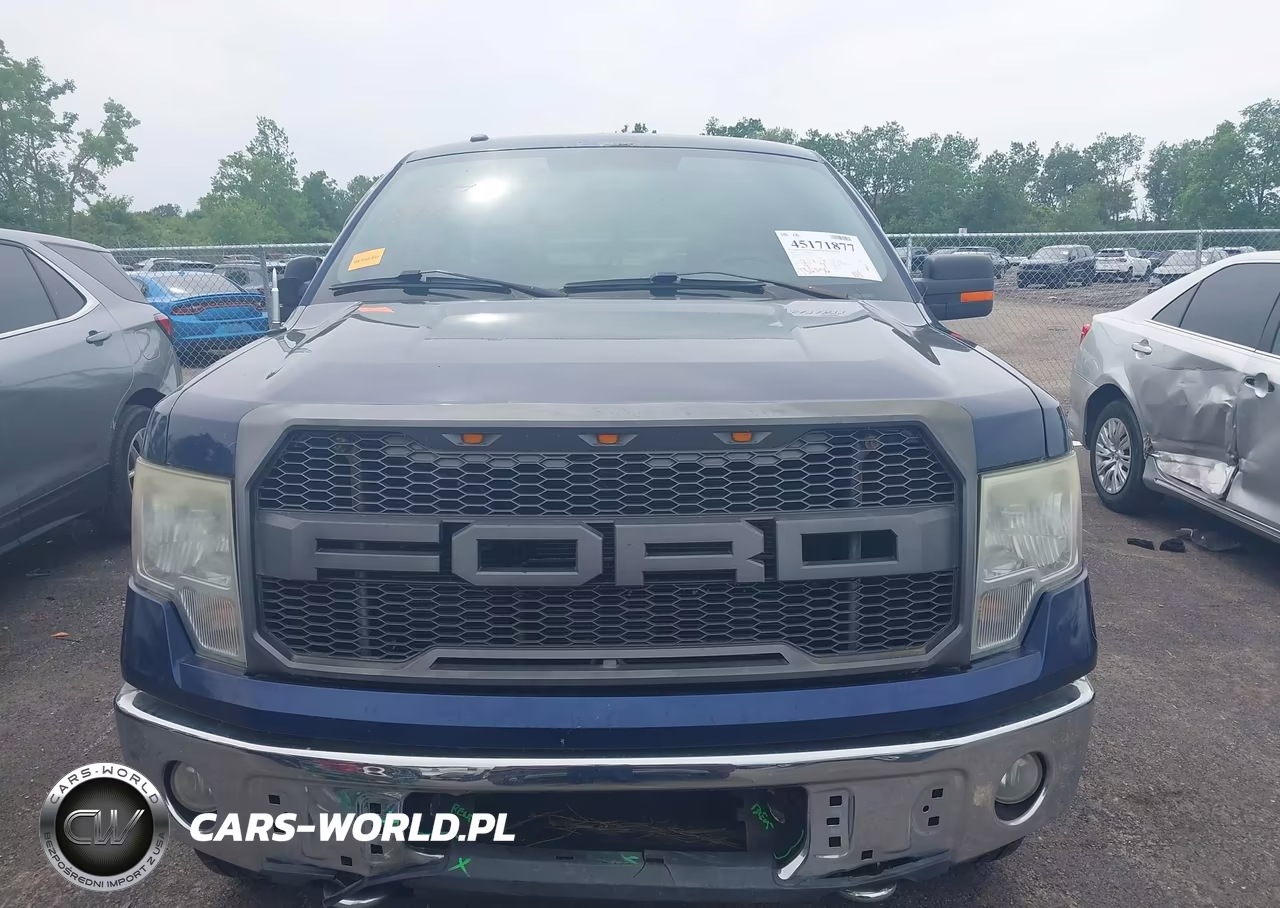 2010 Ford F-150 Fx4-Lariat-Xl-Xlt VIN:1FTFX1EV0AKE41827 - 12