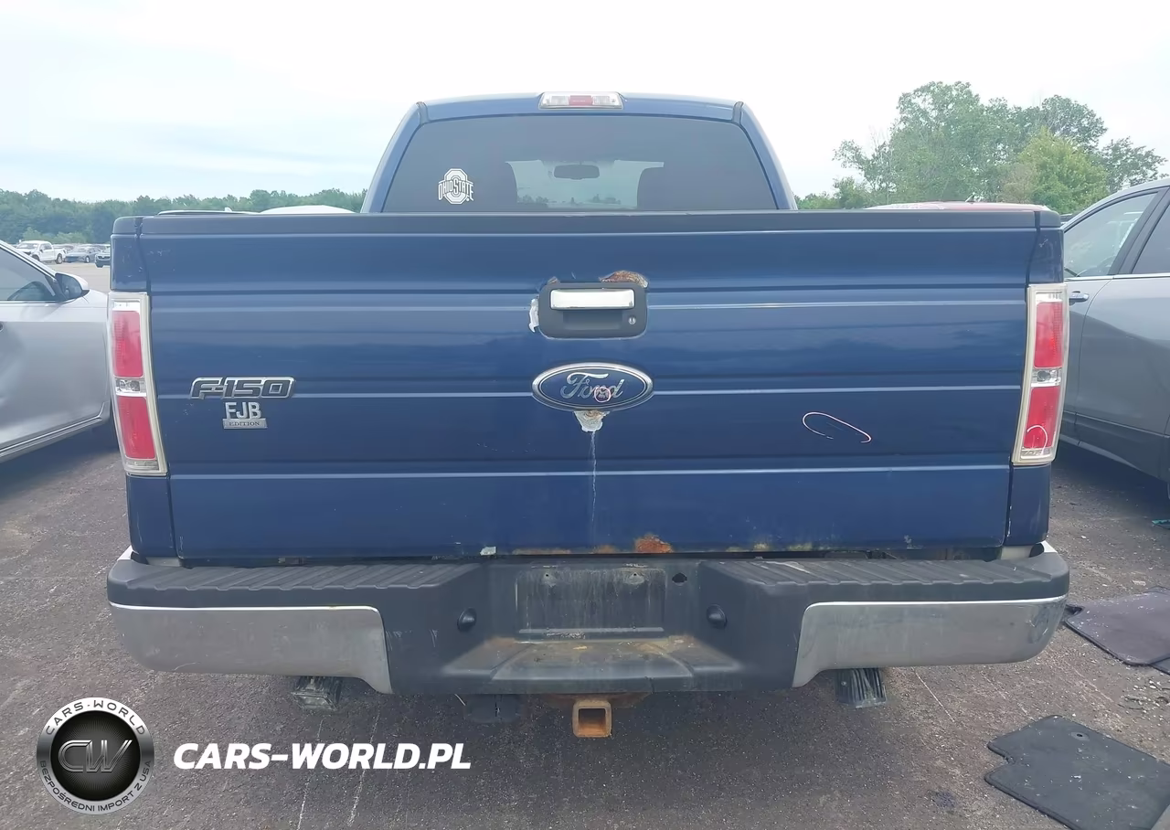 2010 Ford F-150 Fx4-Lariat-Xl-Xlt VIN:1FTFX1EV0AKE41827 - 16