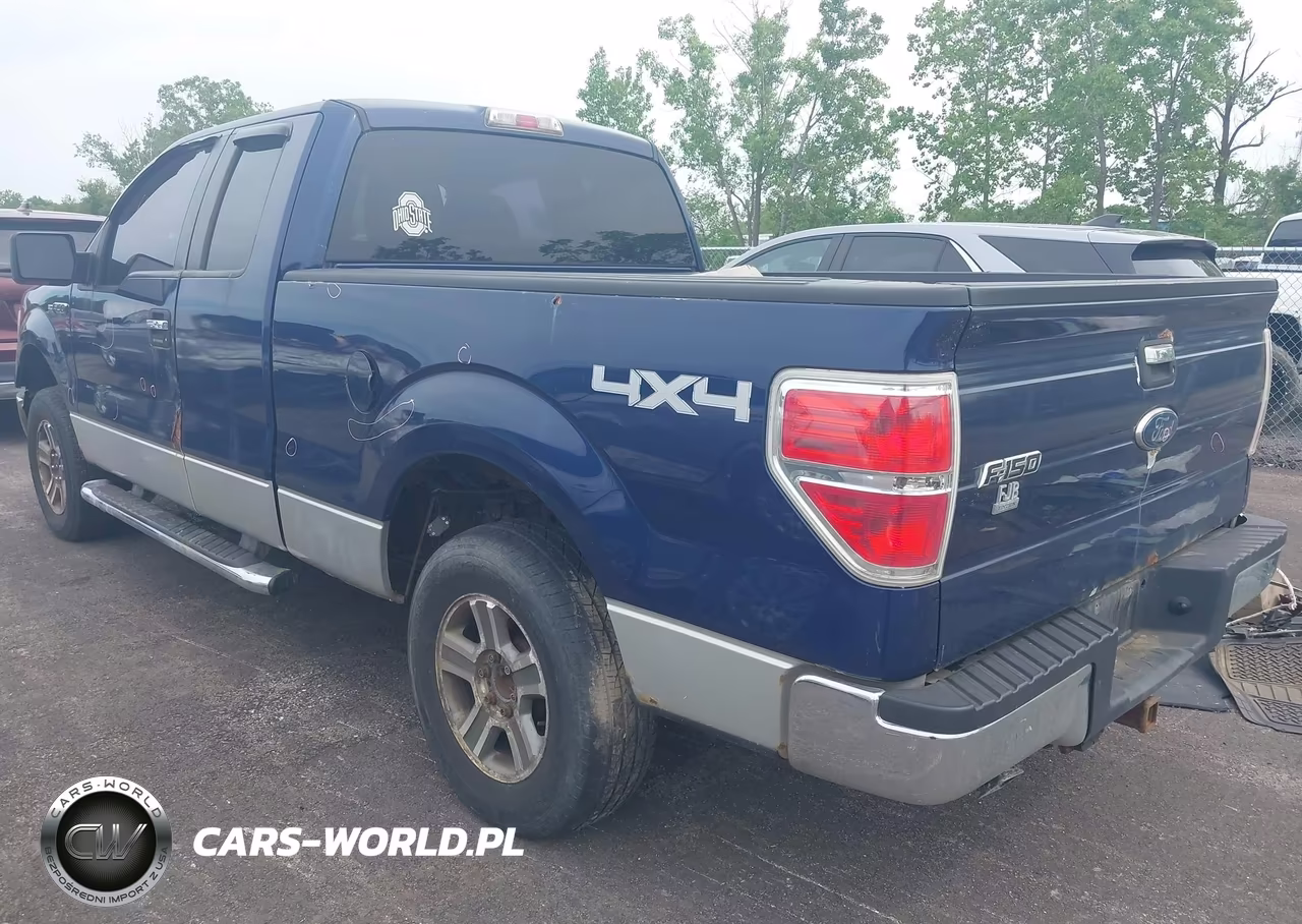 2010 Ford F-150 Fx4-Lariat-Xl-Xlt VIN:1FTFX1EV0AKE41827 - 3
