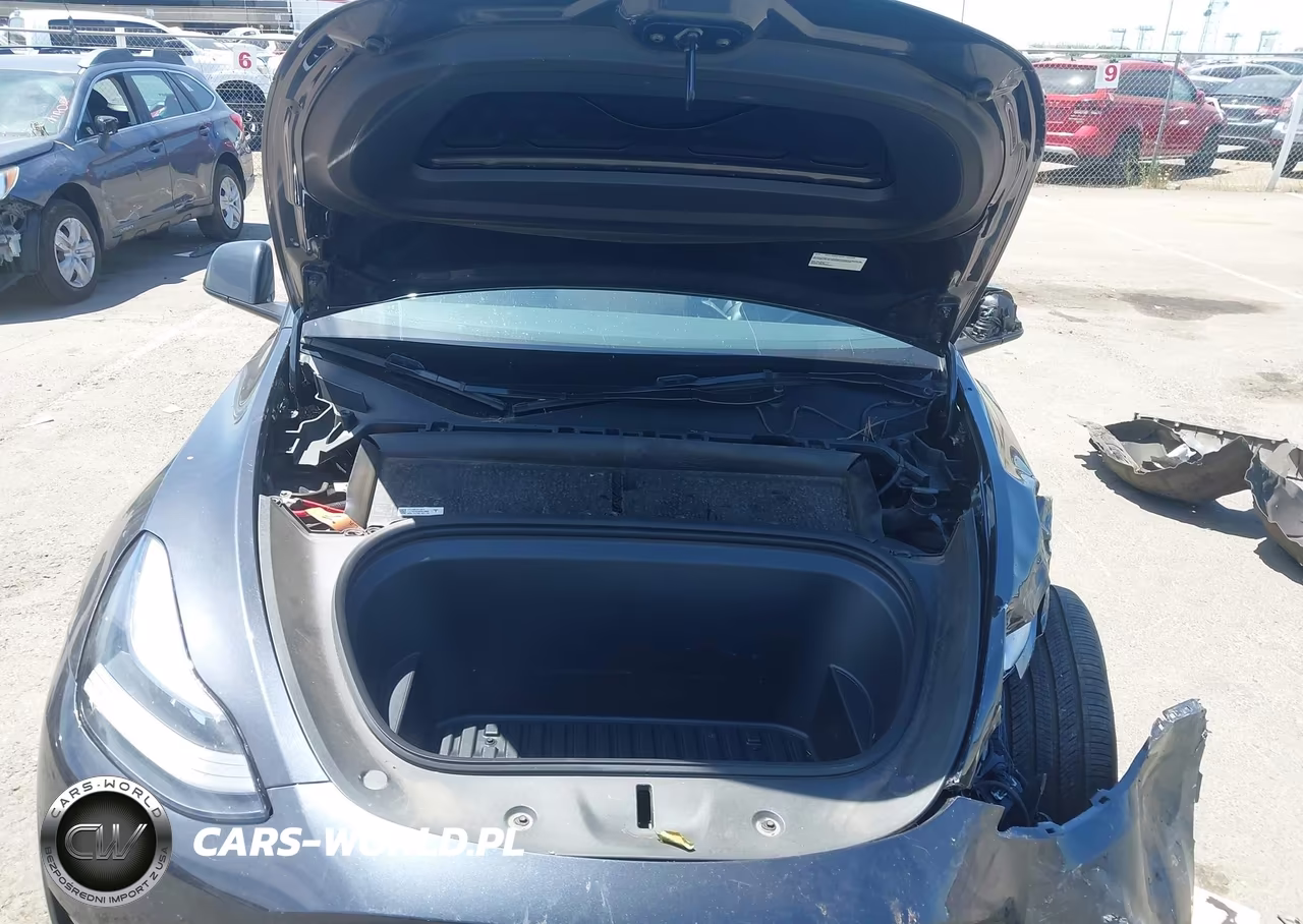 2024 Tesla Model Y Performance Dual Motor All-Wheel Drive VIN:7SAYGDEF3RF020778 - 10