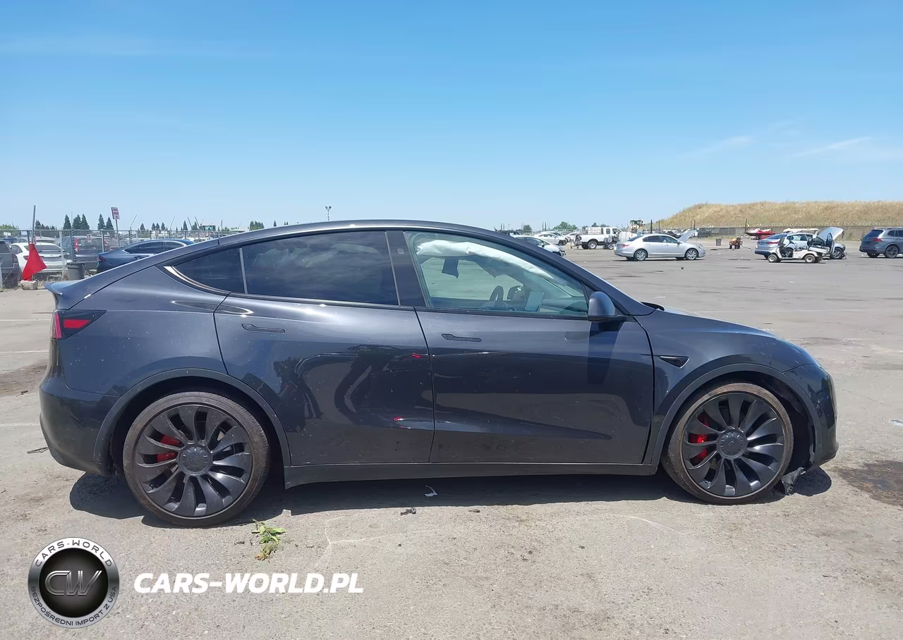 2024 Tesla Model Y Performance Dual Motor All-Wheel Drive VIN:7SAYGDEF3RF020778 - 14