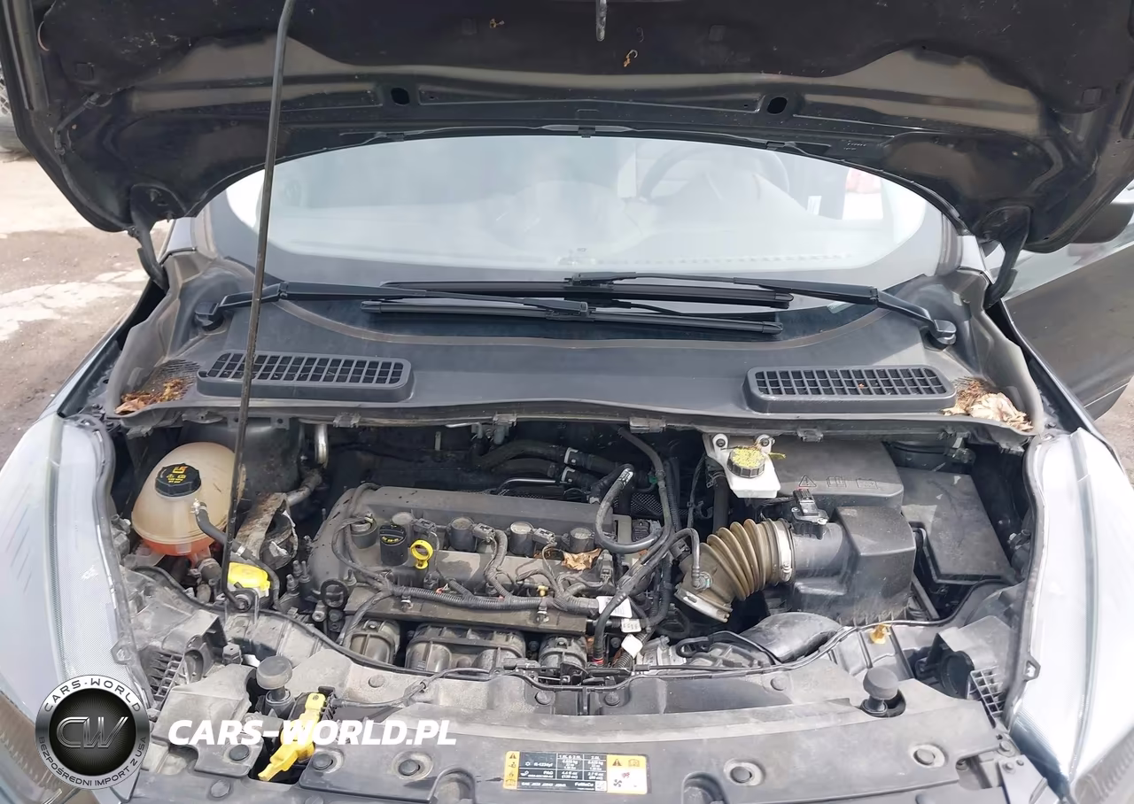 2019 Ford Escape S VIN:1FMCU0F72KUA13698 - 10