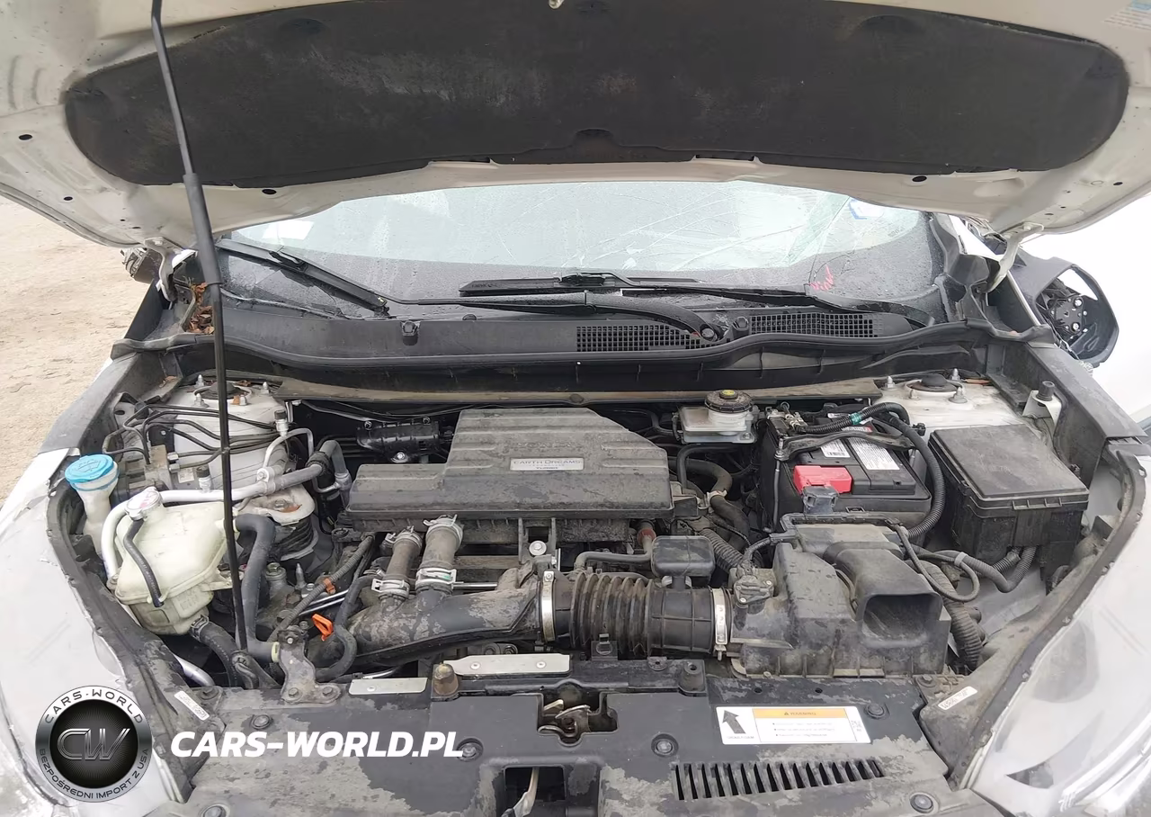 2020 Honda Cr-V 2Wd Ex VIN:2HKRW1H51LH428209 - 10