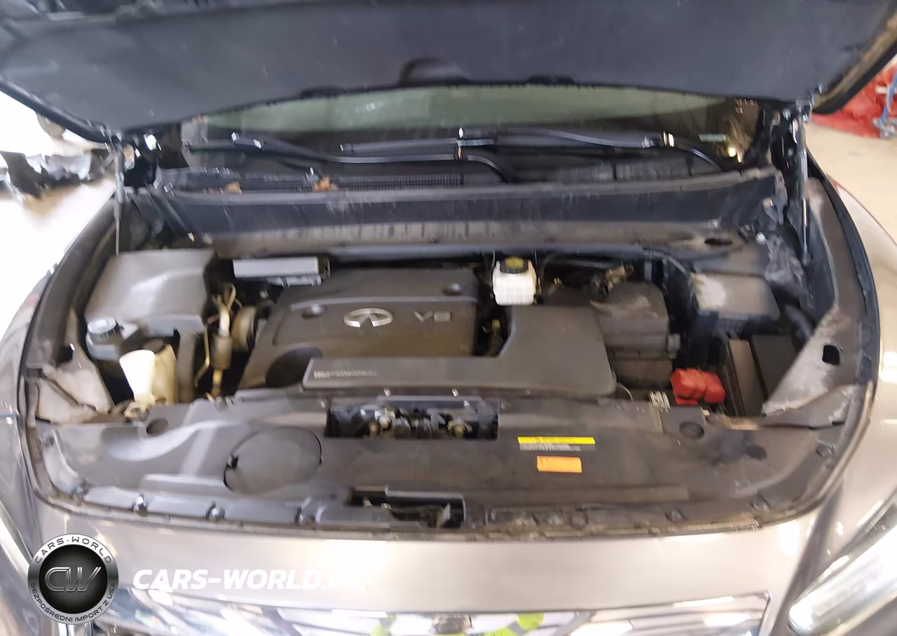 2016 Infiniti Qx60 VIN:5N1AL0MM0GC518395 - 10