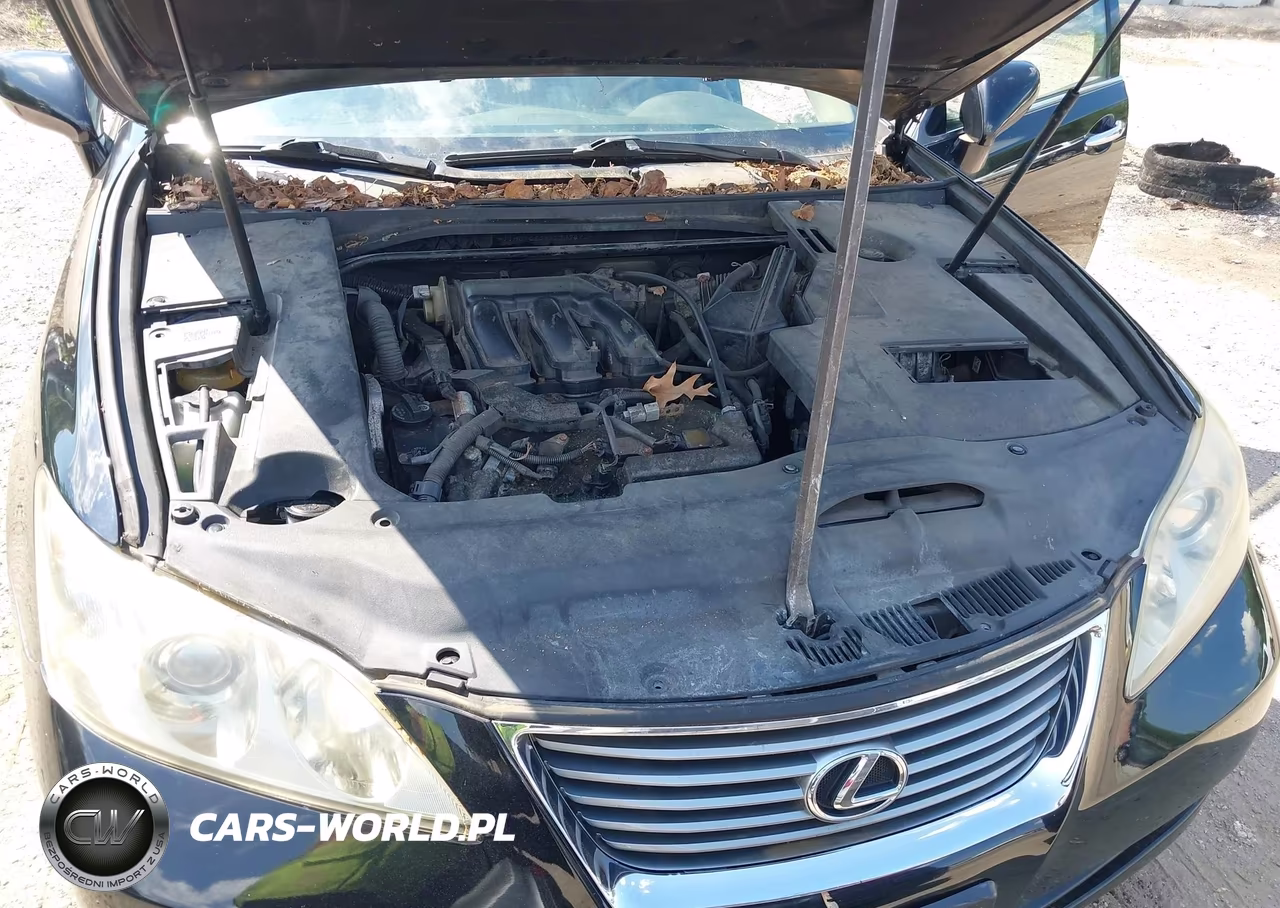 2009 Lexus Es 350 VIN:JTHBJ46G992339471 - 10