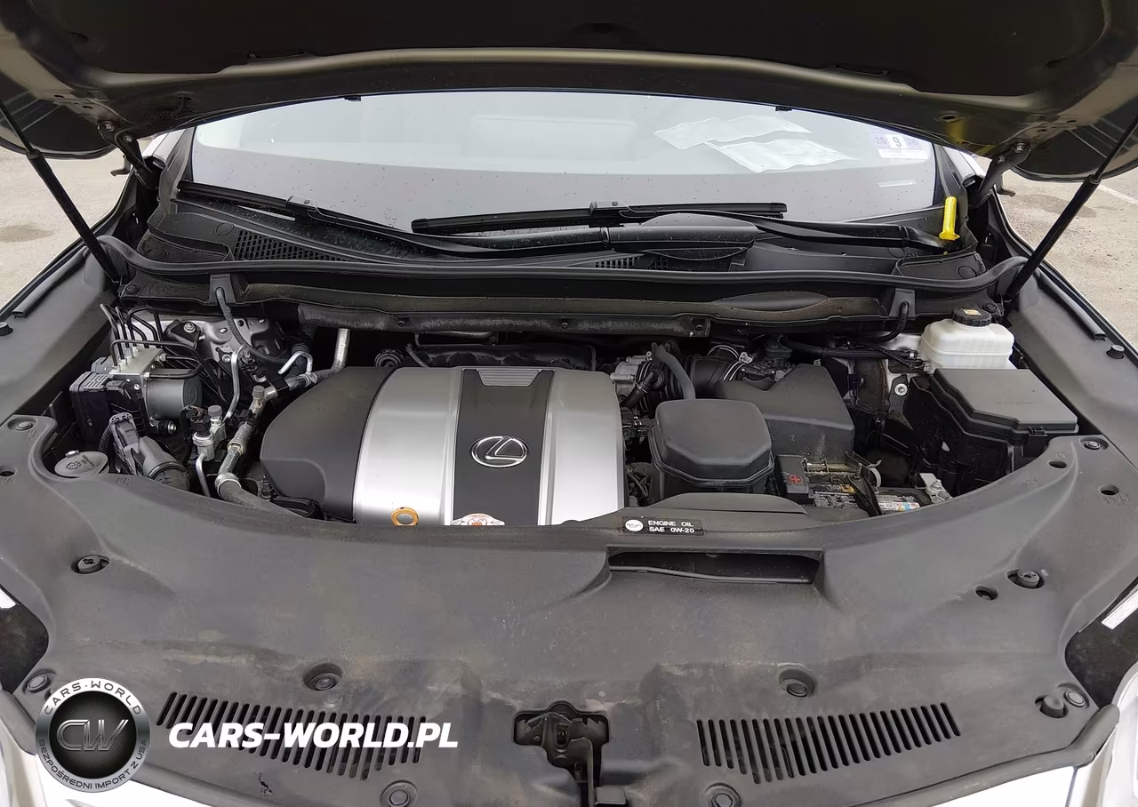 2019 Lexus Rx 350 VIN:2T2BZMCA5KC207045 - 10