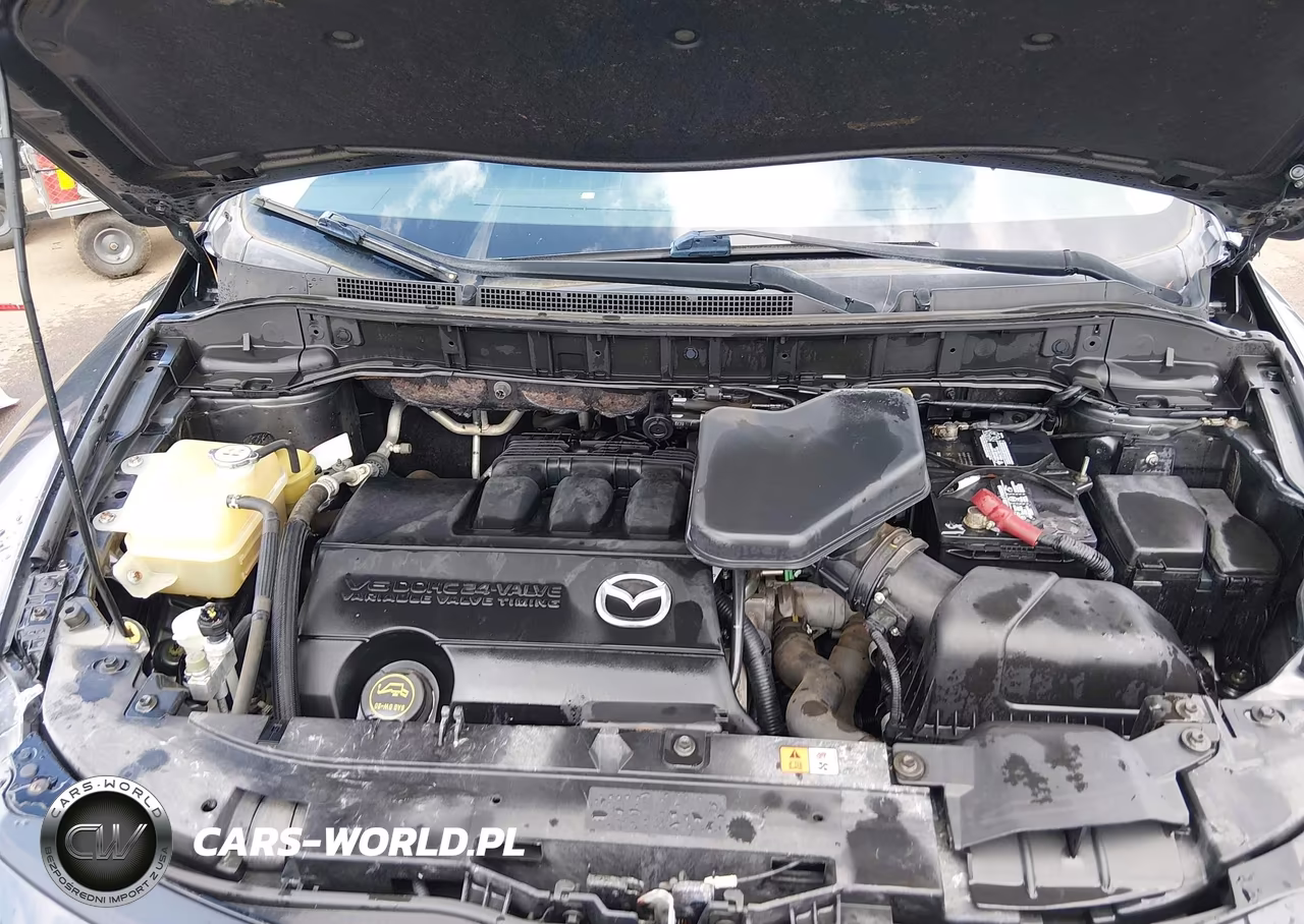 2014 Mazda Cx-9 Touring VIN:JM3TB2CA7E0443882 - 10