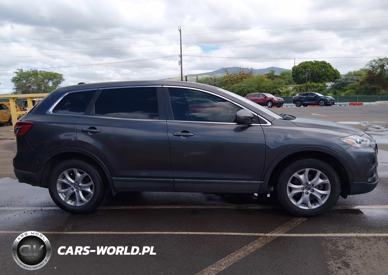 2014 Mazda Cx-9 Touring VIN:JM3TB2CA7E0443882 - 14