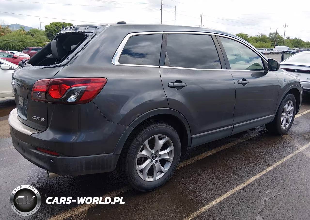 2014 Mazda Cx-9 Touring VIN:JM3TB2CA7E0443882 - 4