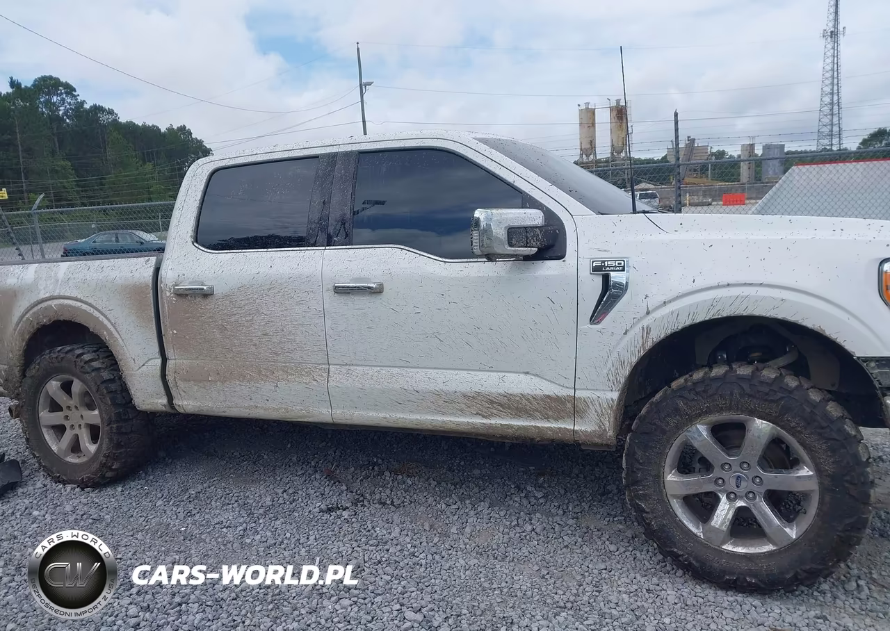 2021 Ford F-150 Lariat VIN:1FTFW1E58MFB64134 - 13