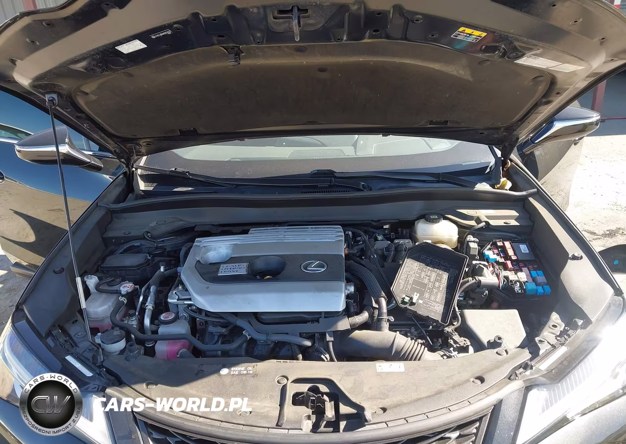 2022 Lexus Ux 250H F Sport VIN:JTHE9JBH6N2056023 - 10