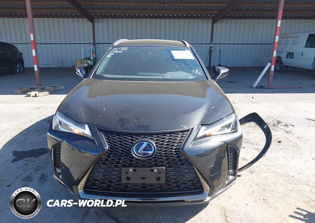 2022 Lexus Ux 250H F Sport VIN:JTHE9JBH6N2056023 - 12