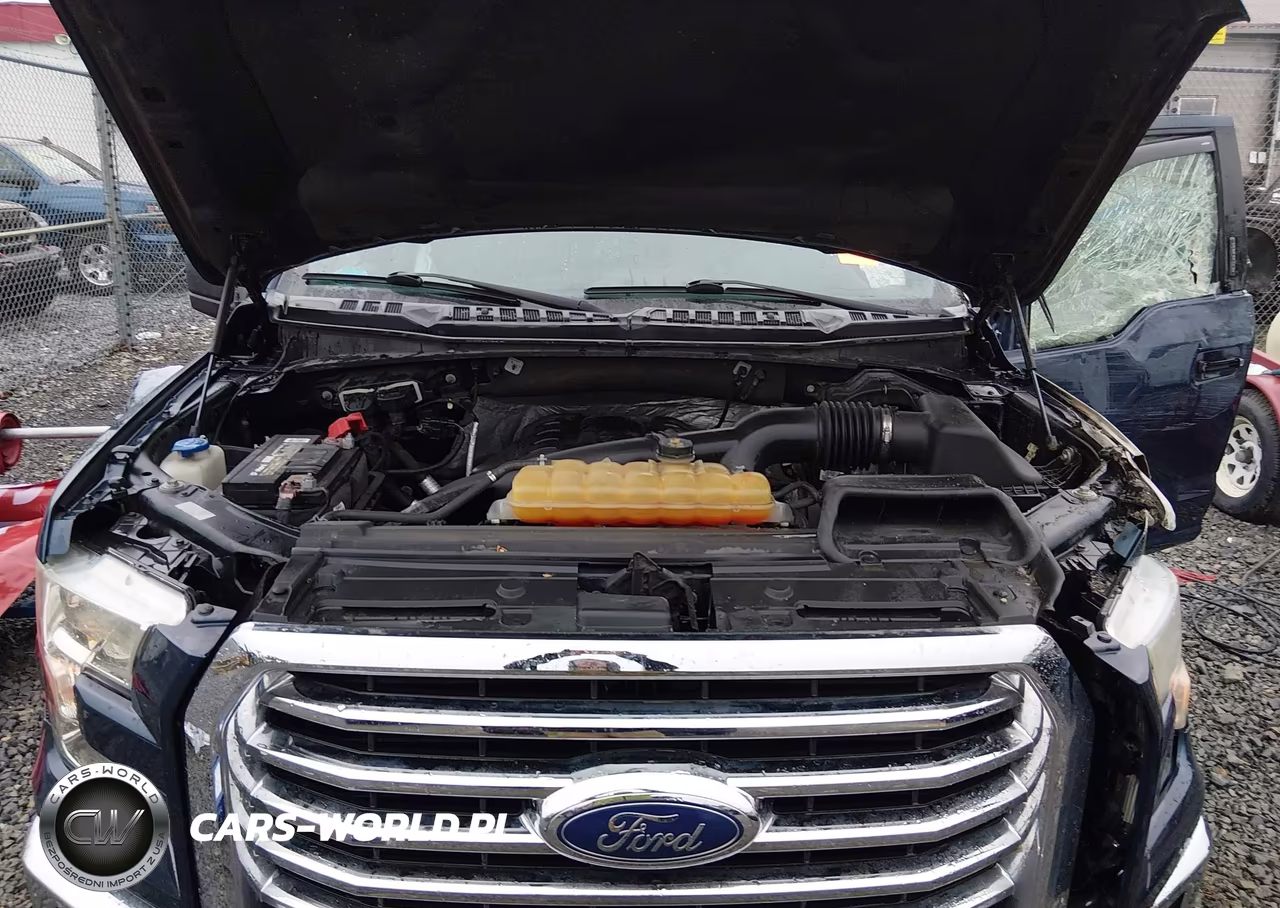 2015 Ford F-150 Xlt VIN:1FTEW1EGXFFC21174 - 10