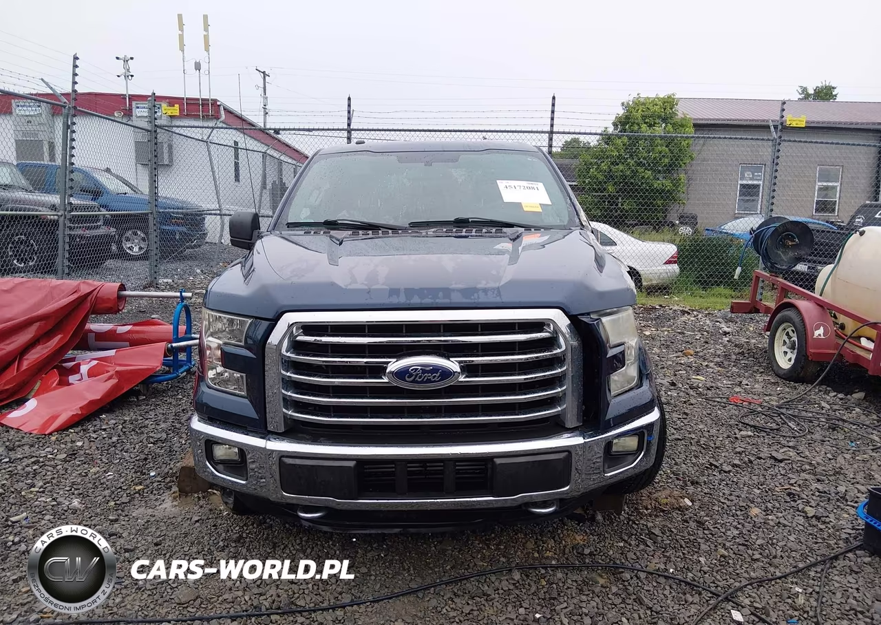 2015 Ford F-150 Xlt VIN:1FTEW1EGXFFC21174 - 13