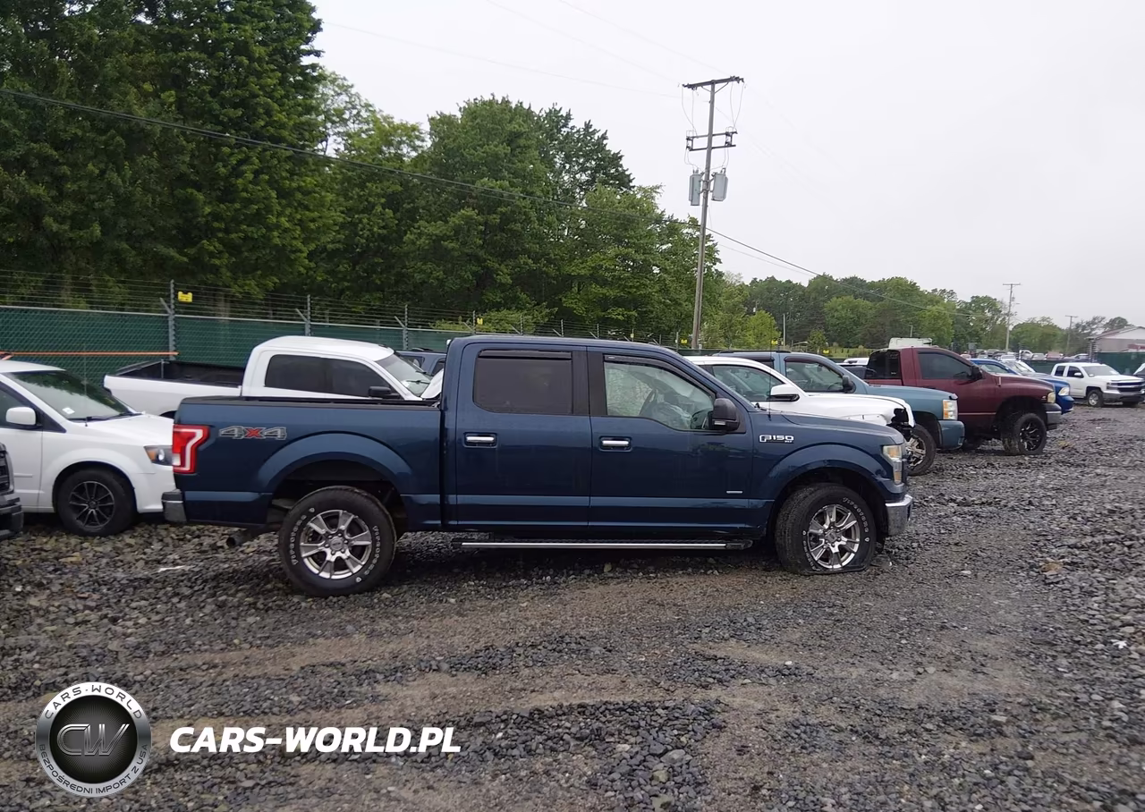 2015 Ford F-150 Xlt VIN:1FTEW1EGXFFC21174 - 14
