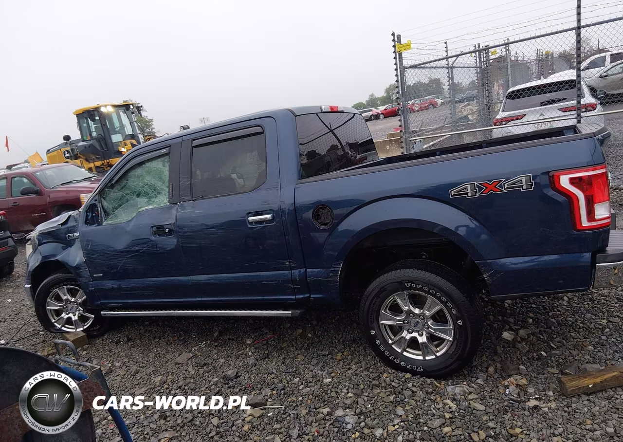 2015 Ford F-150 Xlt VIN:1FTEW1EGXFFC21174 - 15