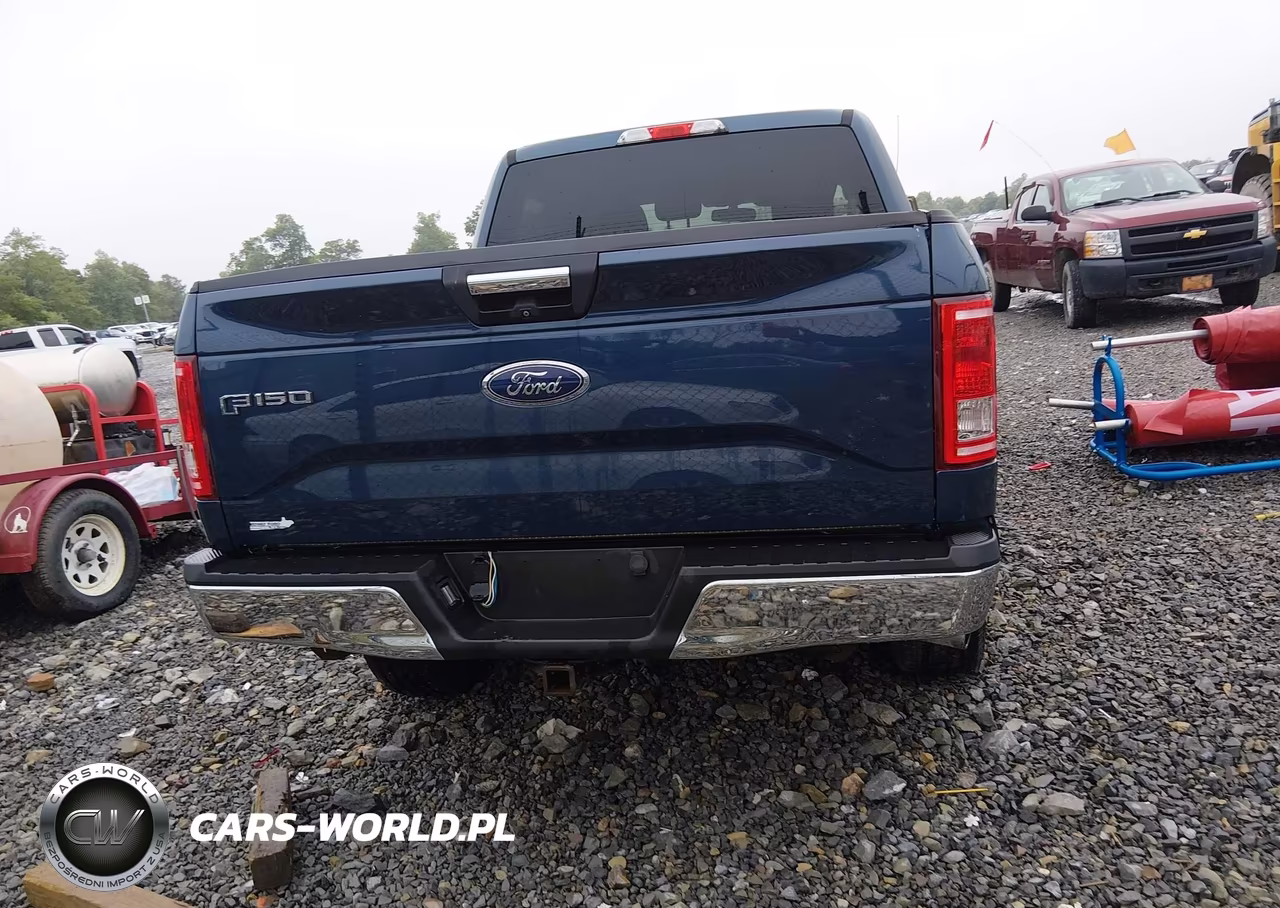2015 Ford F-150 Xlt VIN:1FTEW1EGXFFC21174 - 17