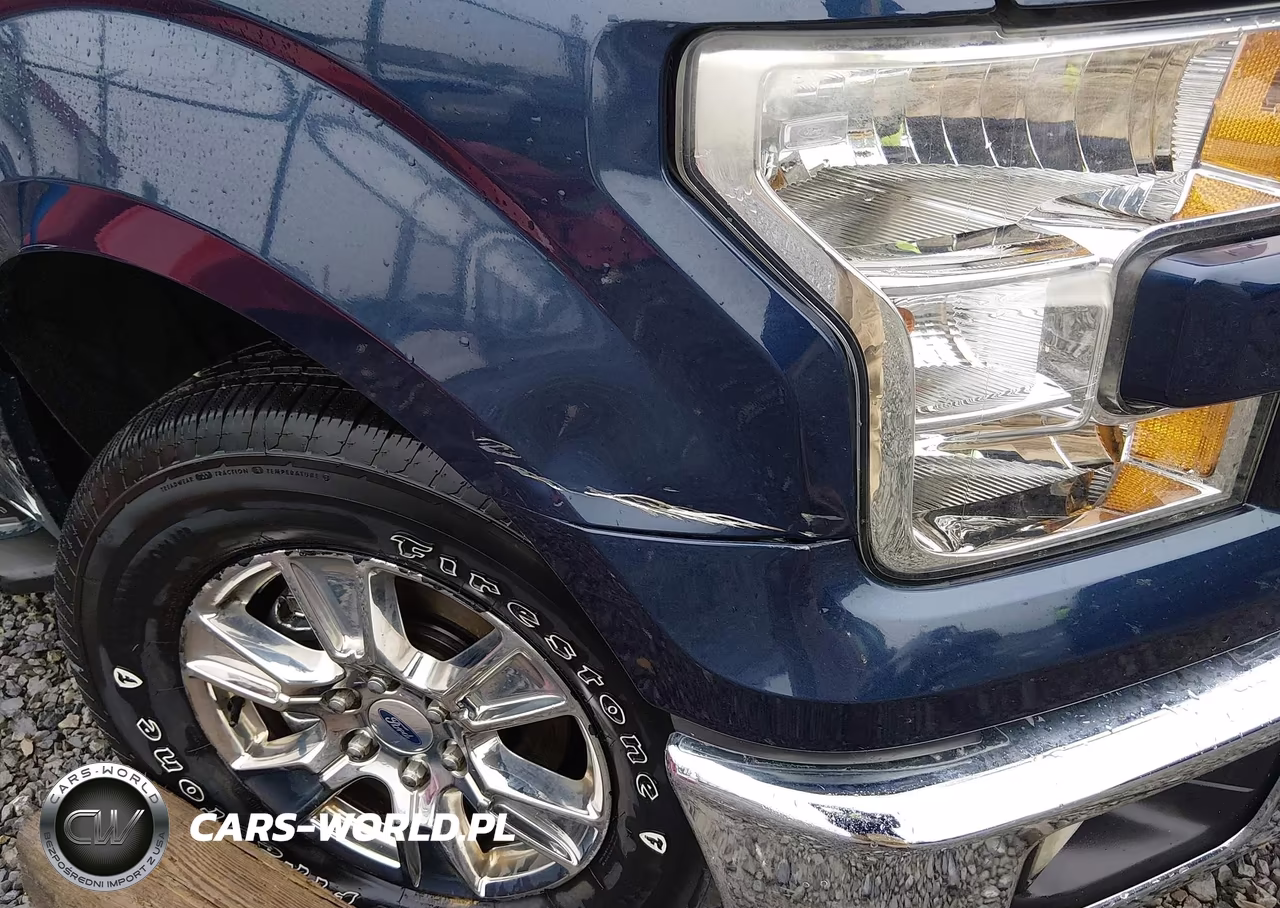 2015 Ford F-150 Xlt VIN:1FTEW1EGXFFC21174 - 18