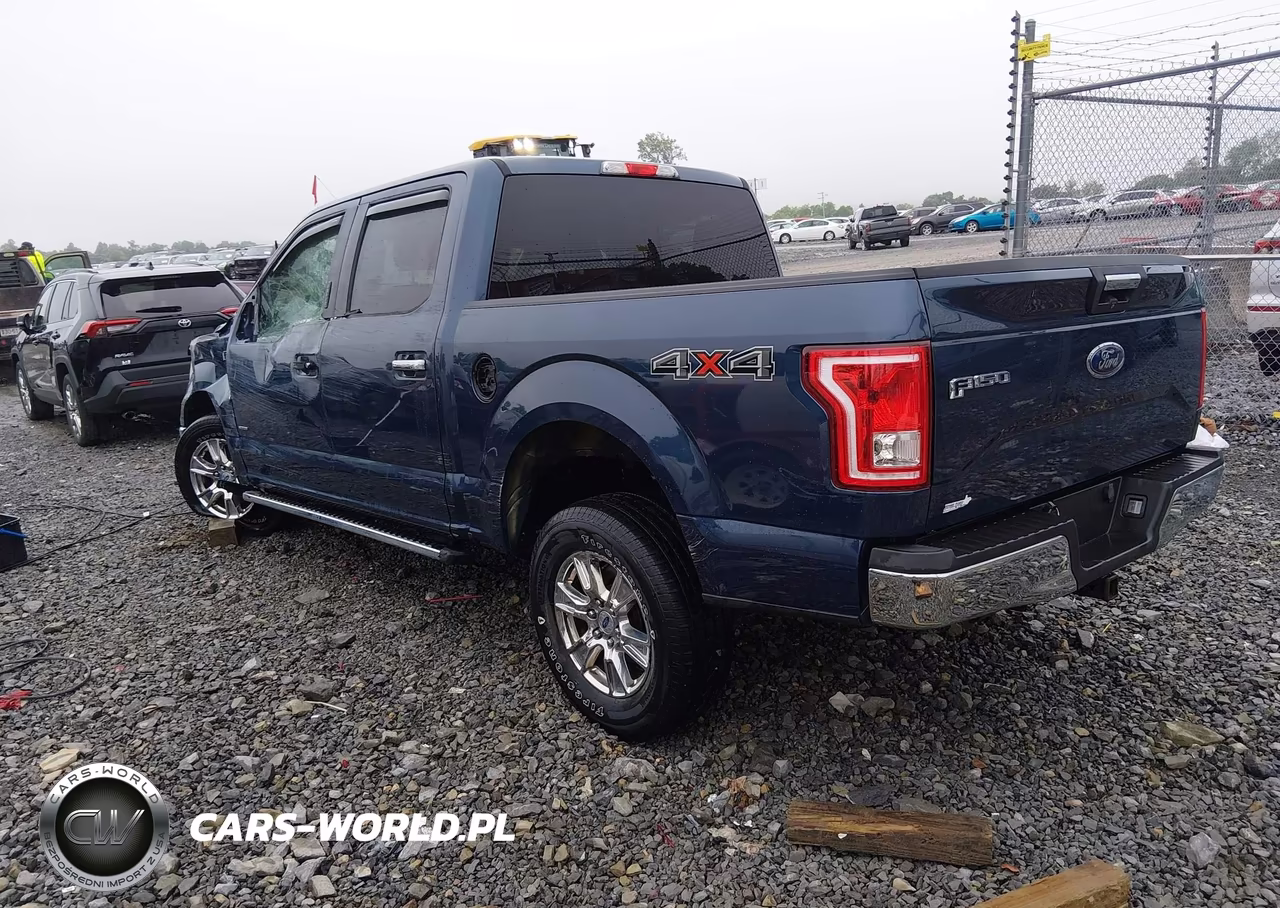 2015 Ford F-150 Xlt VIN:1FTEW1EGXFFC21174 - 3