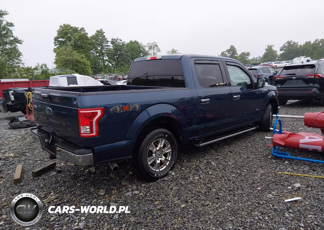 2015 Ford F-150 Xlt VIN:1FTEW1EGXFFC21174 - 4