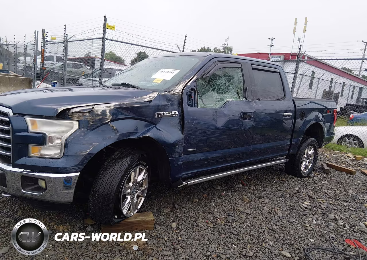 2015 Ford F-150 Xlt VIN:1FTEW1EGXFFC21174 - 6