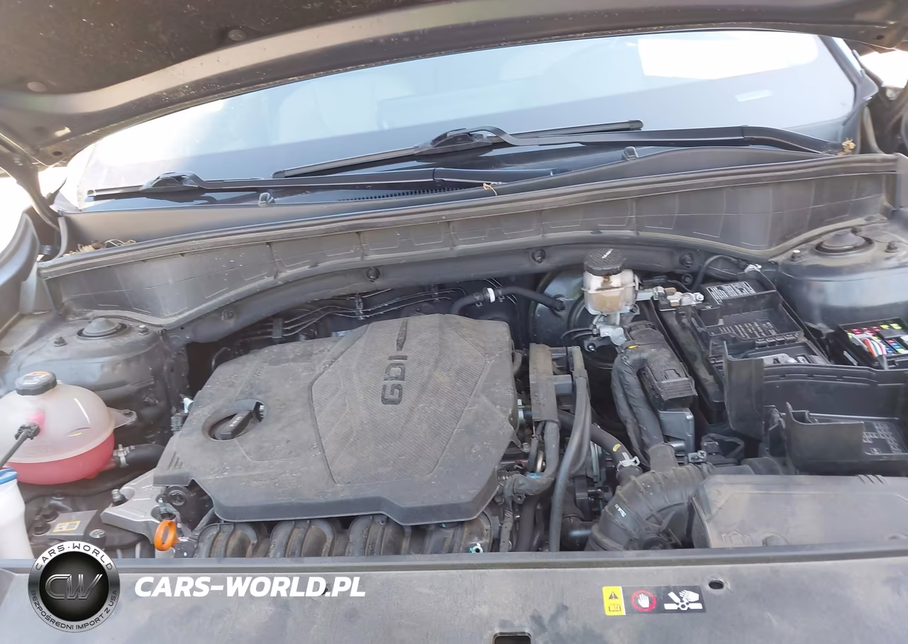 2023 Kia Sorento S VIN:5XYRL4LC3PG224394 - 10