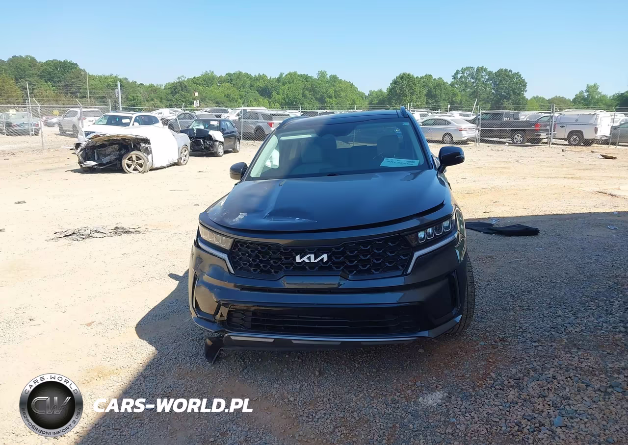 2023 Kia Sorento S VIN:5XYRL4LC3PG224394 - 13