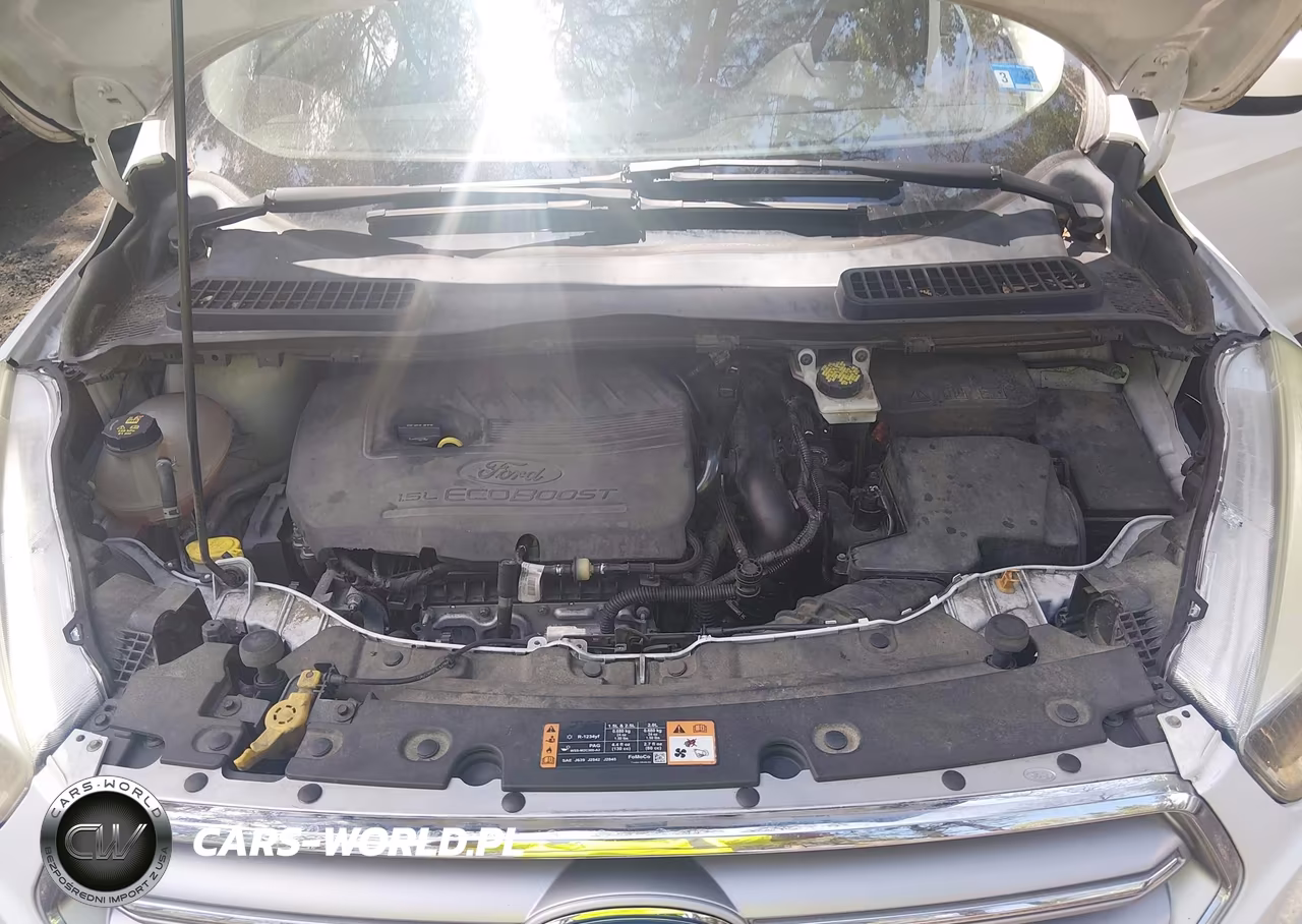 2017 Ford Escape Se VIN:1FMCU0GD6HUB49684 - 10