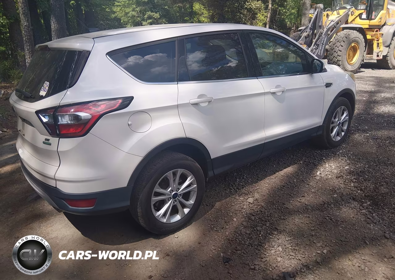 2017 Ford Escape Se VIN:1FMCU0GD6HUB49684 - 4