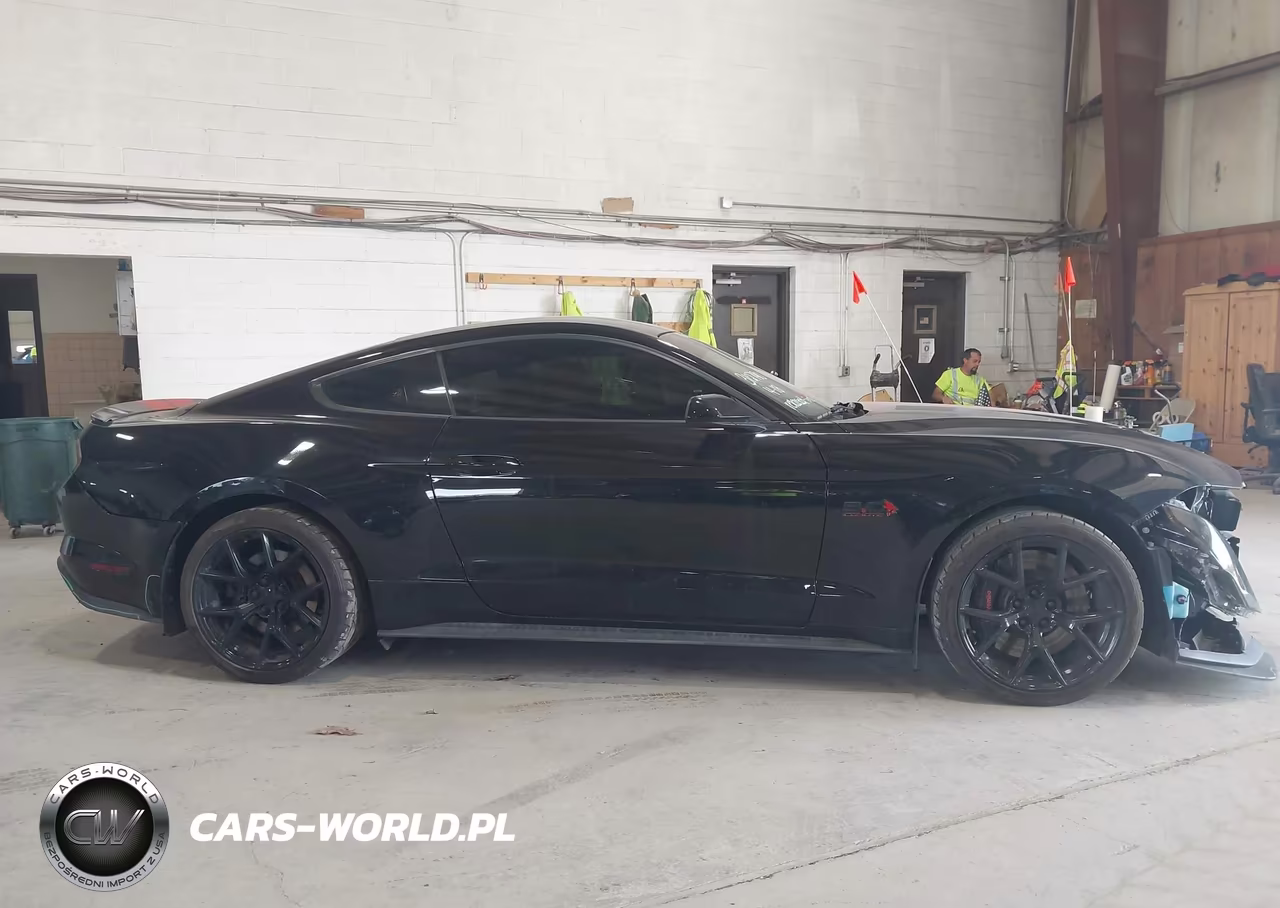 2019 Ford Mustang Gt VIN:1FA6P8CF7K5184336 - 13