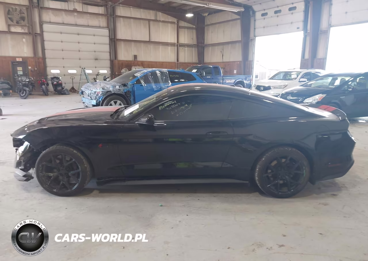2019 Ford Mustang Gt VIN:1FA6P8CF7K5184336 - 14