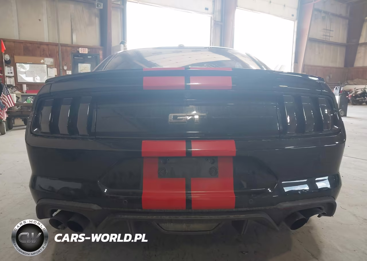 2019 Ford Mustang Gt VIN:1FA6P8CF7K5184336 - 16
