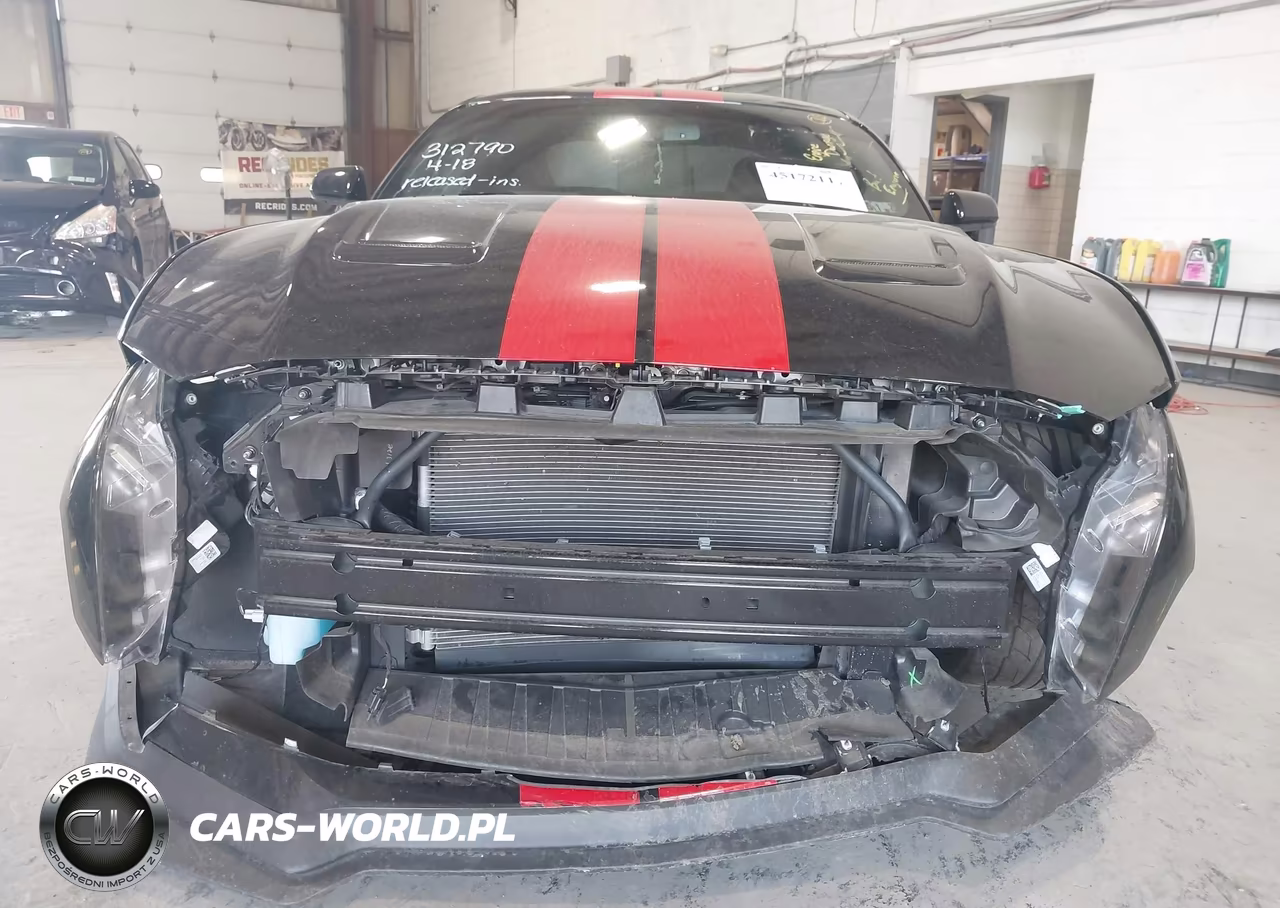 2019 Ford Mustang Gt VIN:1FA6P8CF7K5184336 - 17