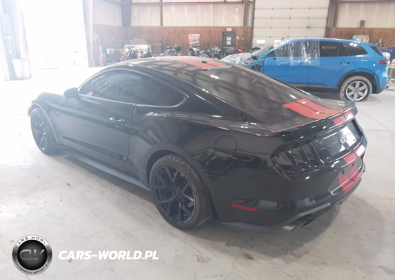 2019 Ford Mustang Gt VIN:1FA6P8CF7K5184336 - 3