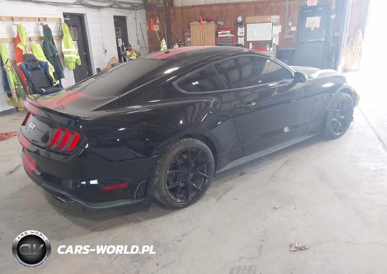 2019 Ford Mustang Gt VIN:1FA6P8CF7K5184336 - 4