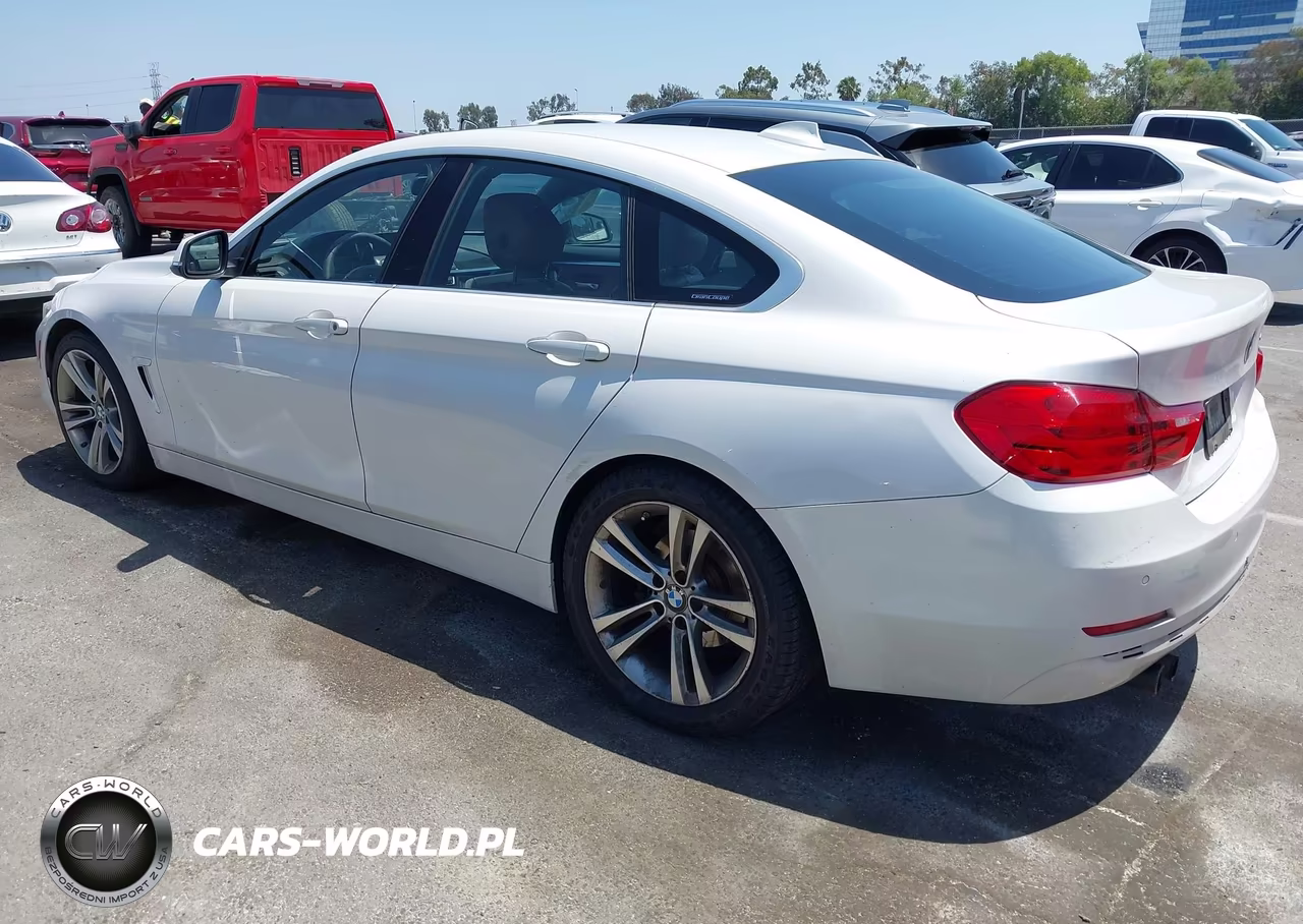 2016 BMW 428I Gran Coupe VIN:WBA4A9C50GG695413 - 3