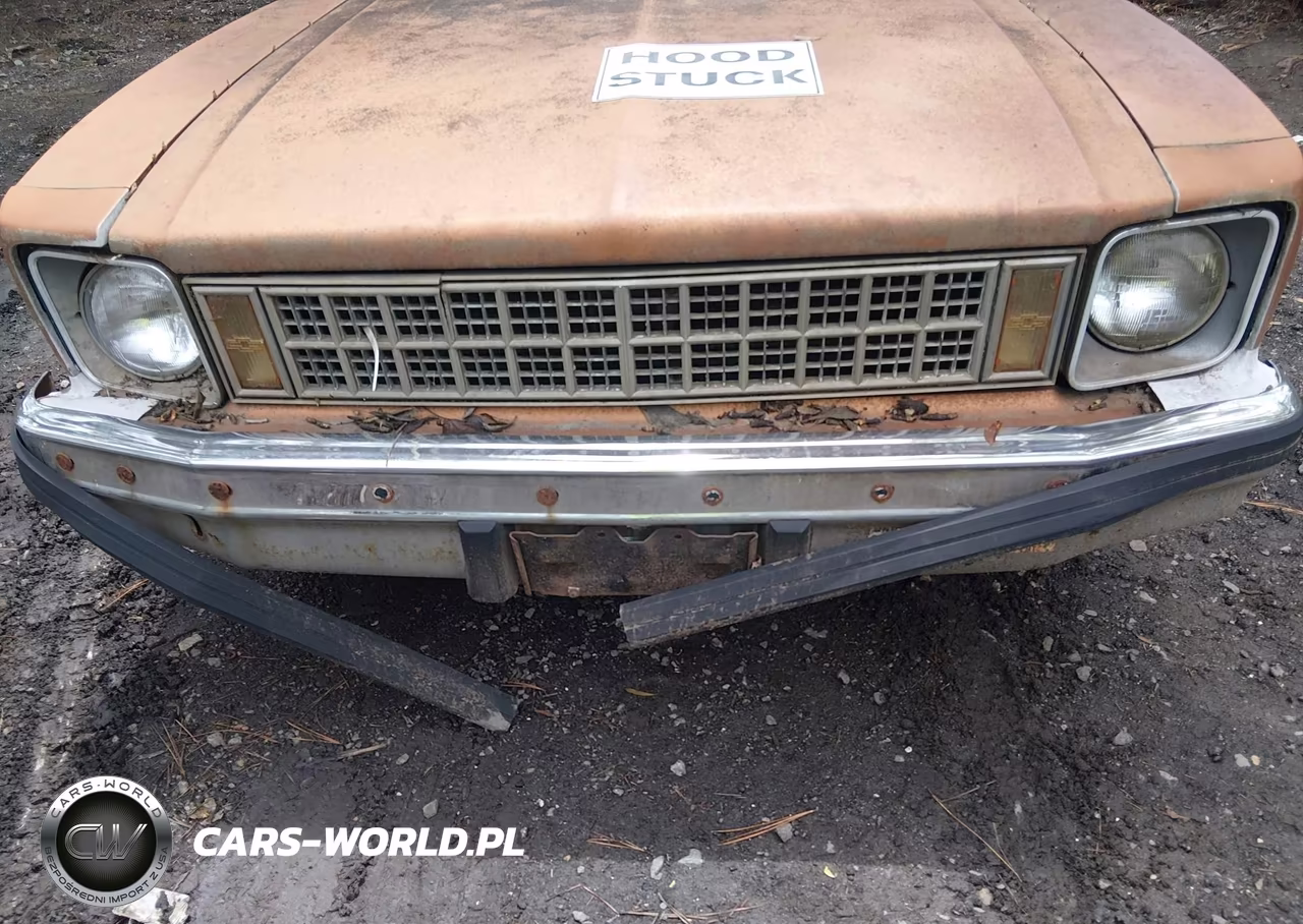 1978 Chevrolet Nova VIN:1X27D8TCT225250 - 6
