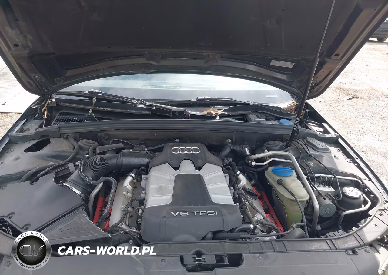 2010 Audi S4 3.0 Premium Plus VIN:WAUBGAFL5AA136905 - 10