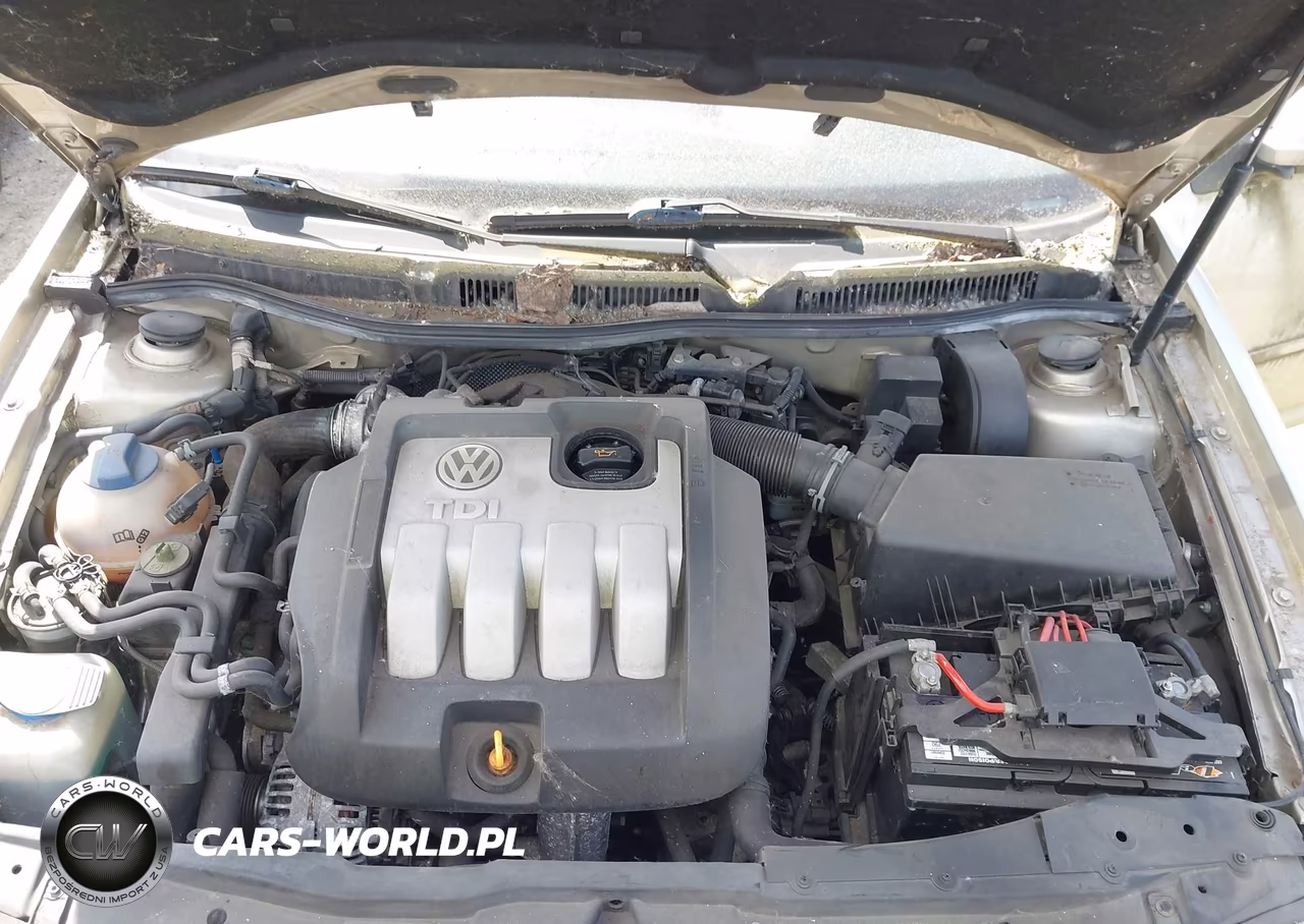 2004 Volkswagen Jetta Gls Tdi VIN:WVWSR61J34W141754 - 10
