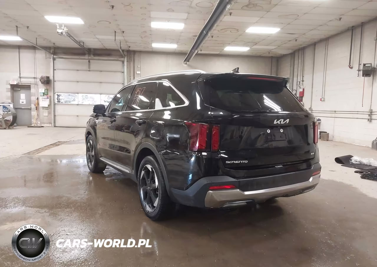 2025 Kia Sorento Hybrid Ex VIN:KNDRH4JG2S5285437 - 3