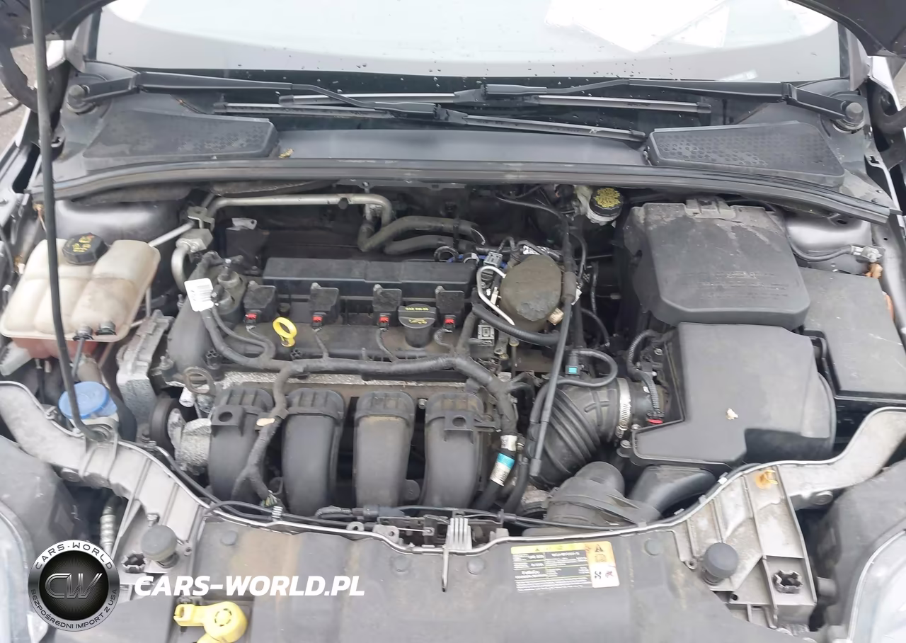 2014 Ford Focus Titanium VIN:1FADP3N26EL164907 - 10