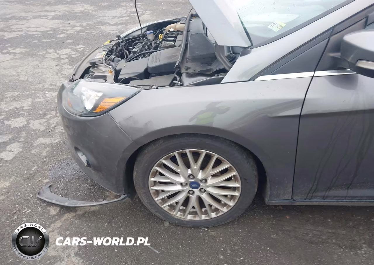 2014 Ford Focus Titanium VIN:1FADP3N26EL164907 - 6