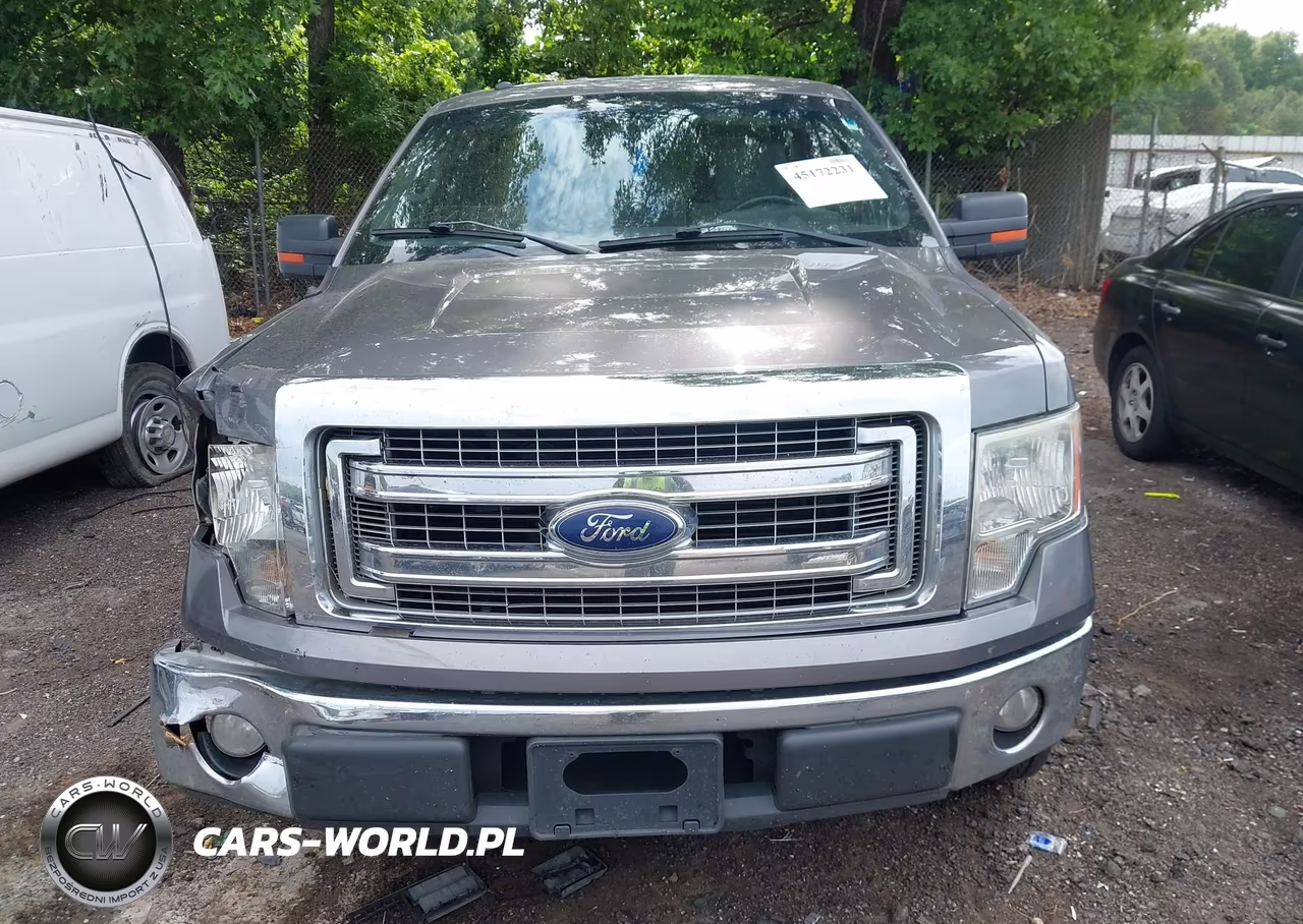 2013 Ford F-150 Xlt VIN:1FTEW1CM5DFD22144 - 12