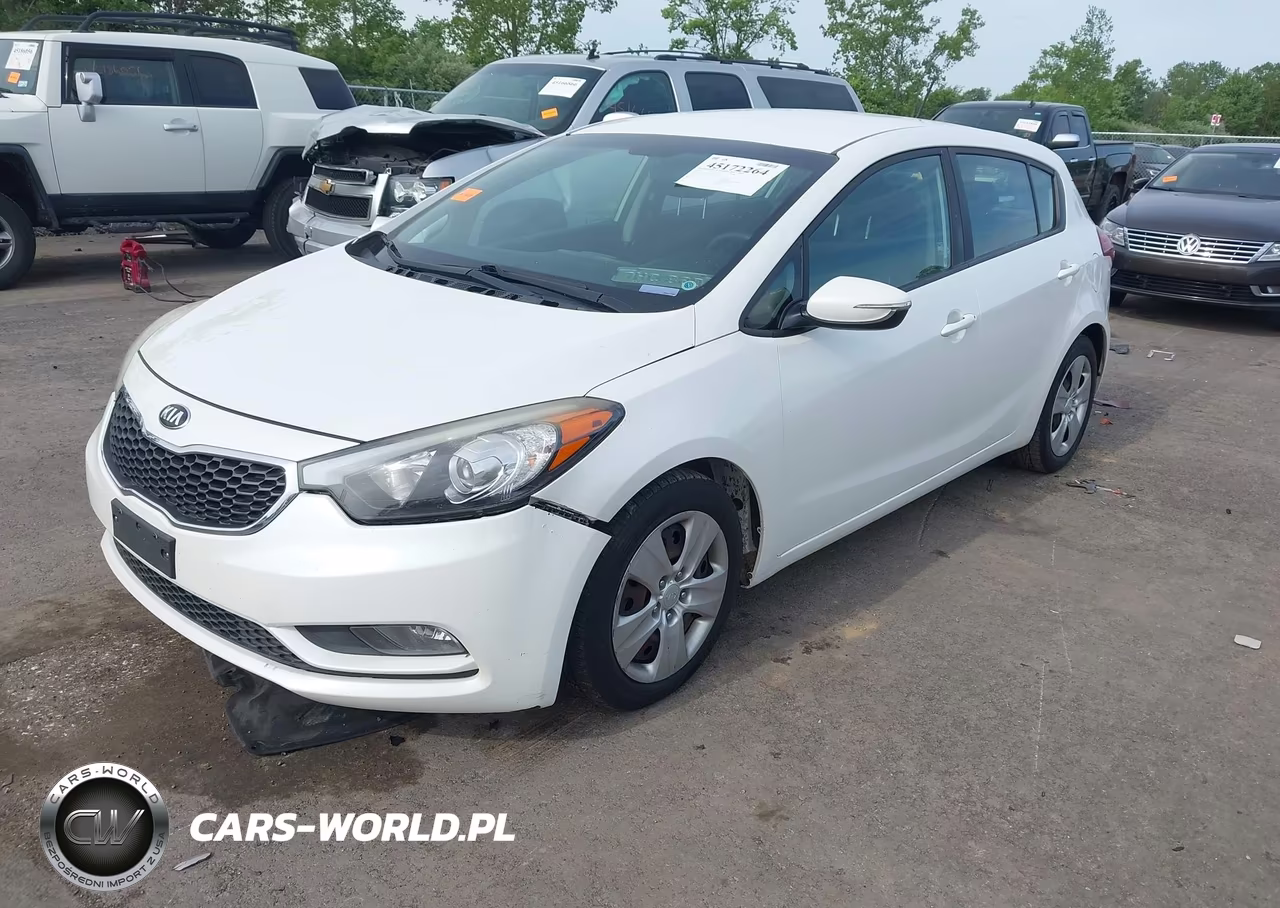 2016 Kia Forte Lx VIN:KNAFK5A81G5591875 - 2