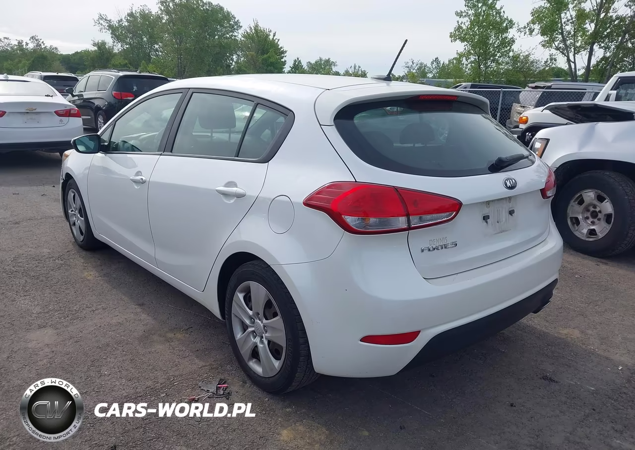 2016 Kia Forte Lx VIN:KNAFK5A81G5591875 - 3