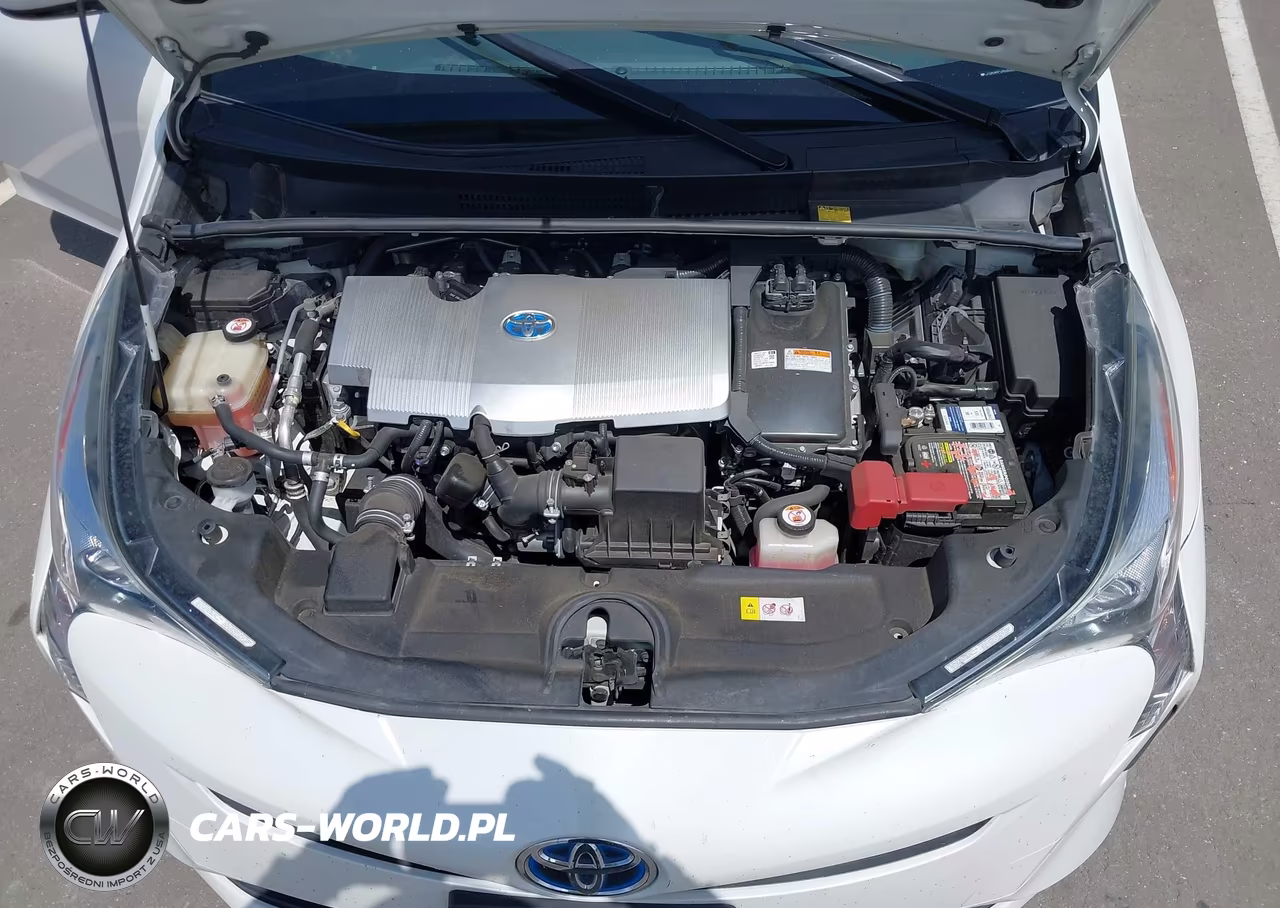 2016 Toyota Prius Three VIN:JTDKARFUXG3025596 - 10
