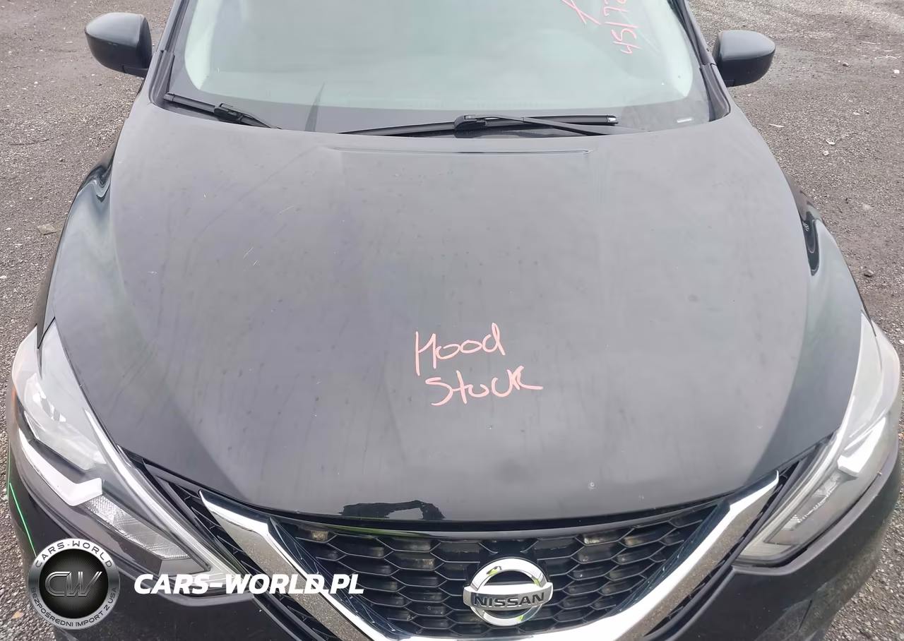 2016 Nissan Sentra Fe+ S-S-Sl-Sr-Sv VIN:3N1AB7AP2GL649432 - 9